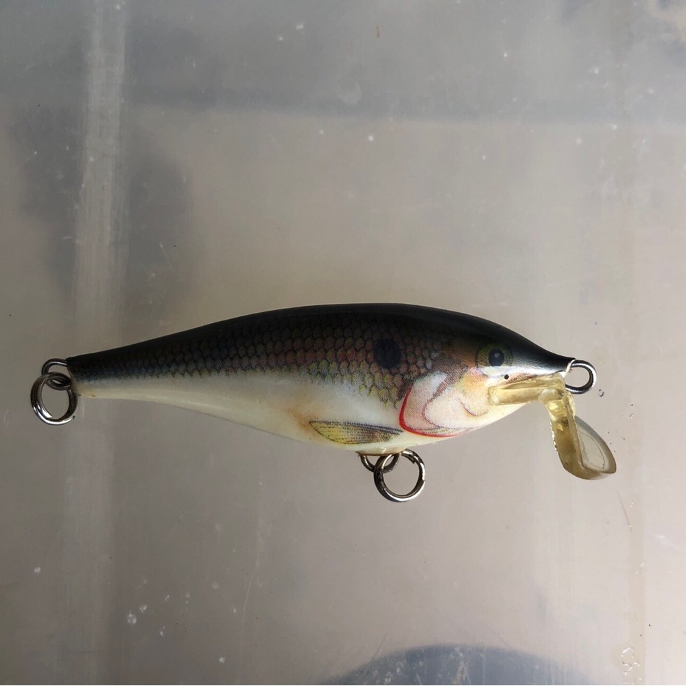 9132 Rapala Shalllow Shad SSR - Ireland - Fishing Lure